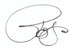 Ralph Twombly Signature